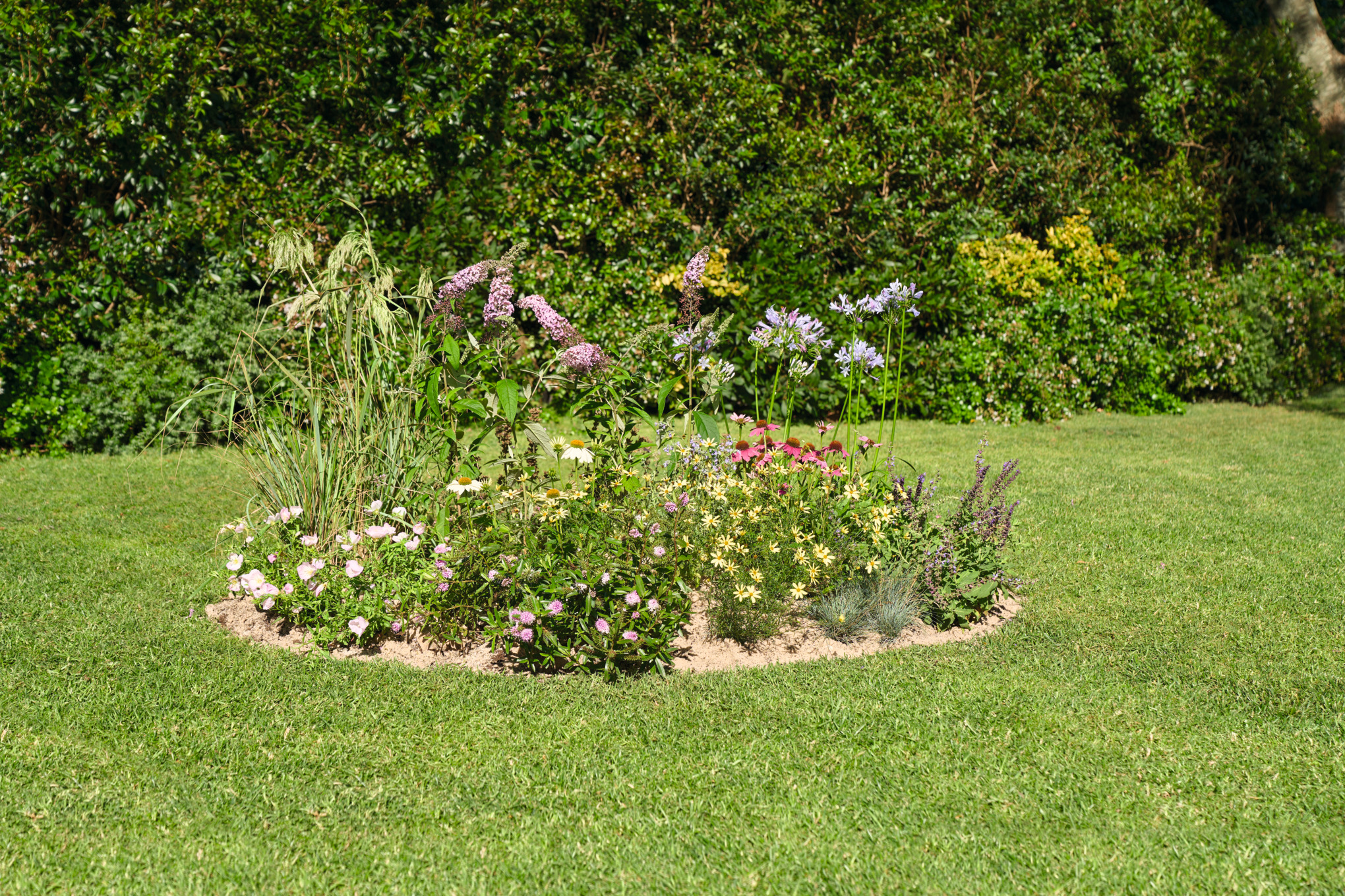 Blühendes Inselbeet in einem Garten