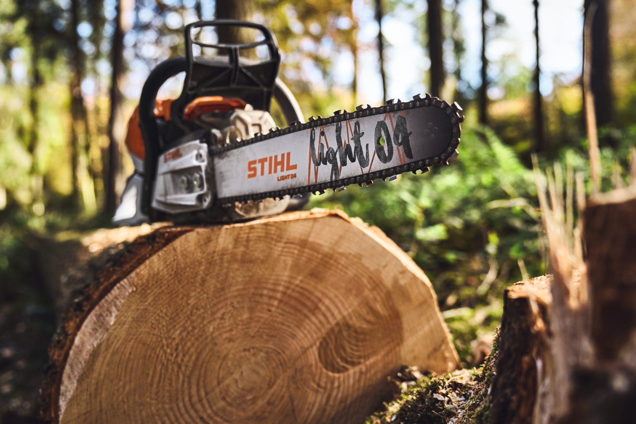 Nahaufnahme einer STIHL Kettensäge mit der Führungsschiene light 04 auf einem Baumstumpf im Forst