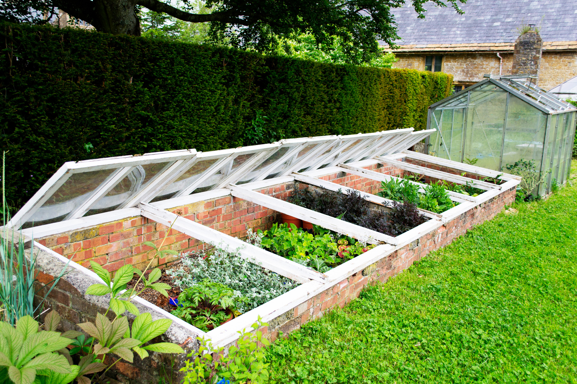 Selber gebautes Frühbeet in einem Garten