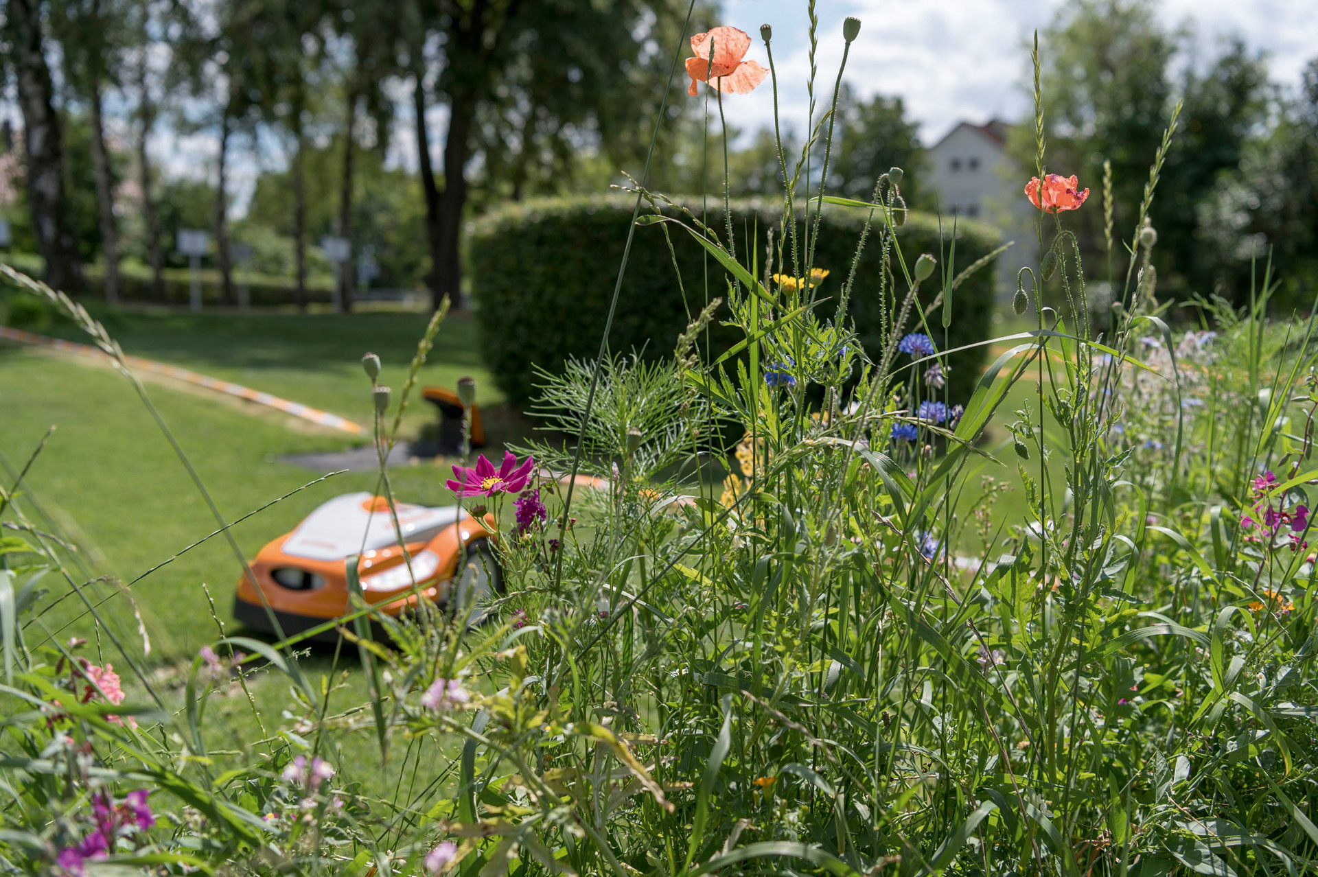 Bunte Blumen im Vordergrund, dahinter der STIHL iMOW in einem großen gepflegten Garten