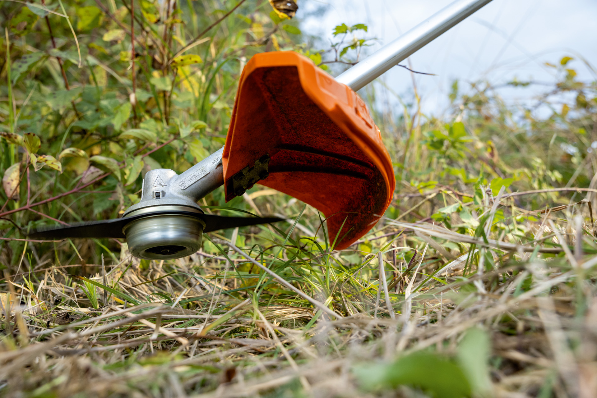 Rasen wird mit STIHL Akku-Motorsense FSA 135 gemäht