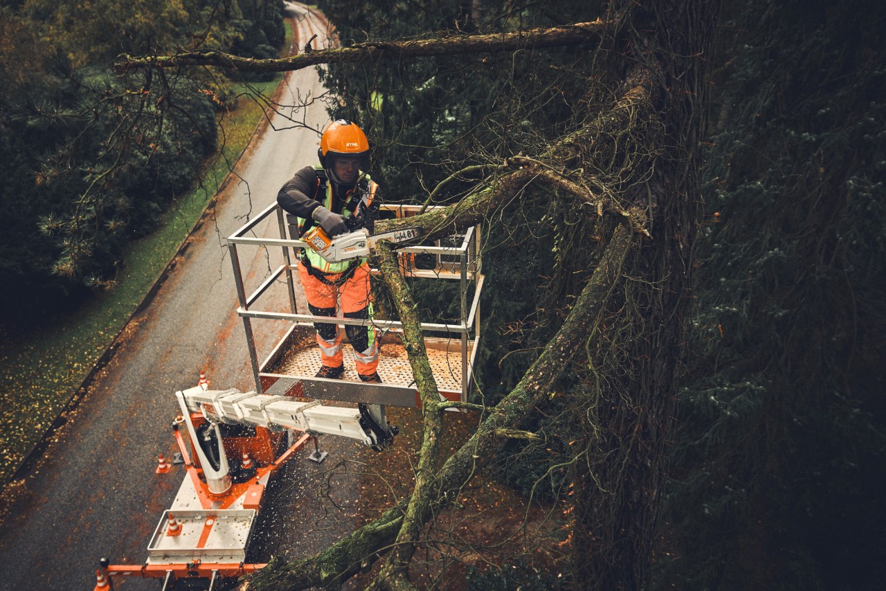 Ein Mann steht auf einer Hebebühne und sägt Äste mit einer Akku-Motorsäge STIHL MSA 190 T