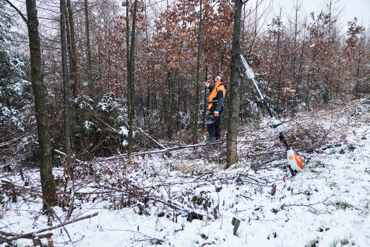 Ein Mann arbeitet in Arbeitsschutzausrüstung in einem verschneiten Wald, im Vordergrund lehnt ein Akku-Hochentaster STIHL HTA 150 an einem Baumstamm