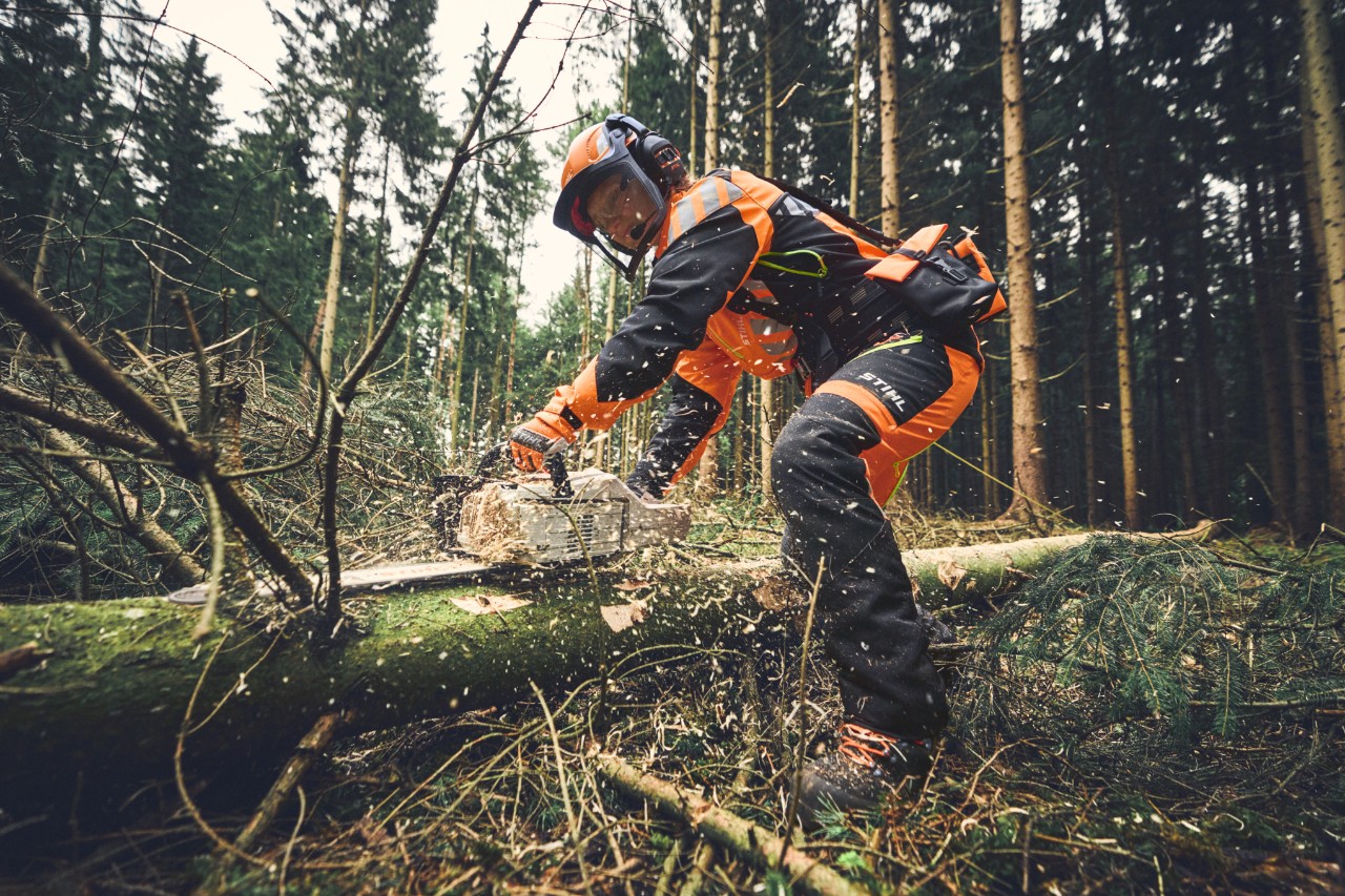 Waldarbeiter bei der Entastung mit der Akku-Motorsäge STIHL MSA 300 und vollständiger PSA Forst 