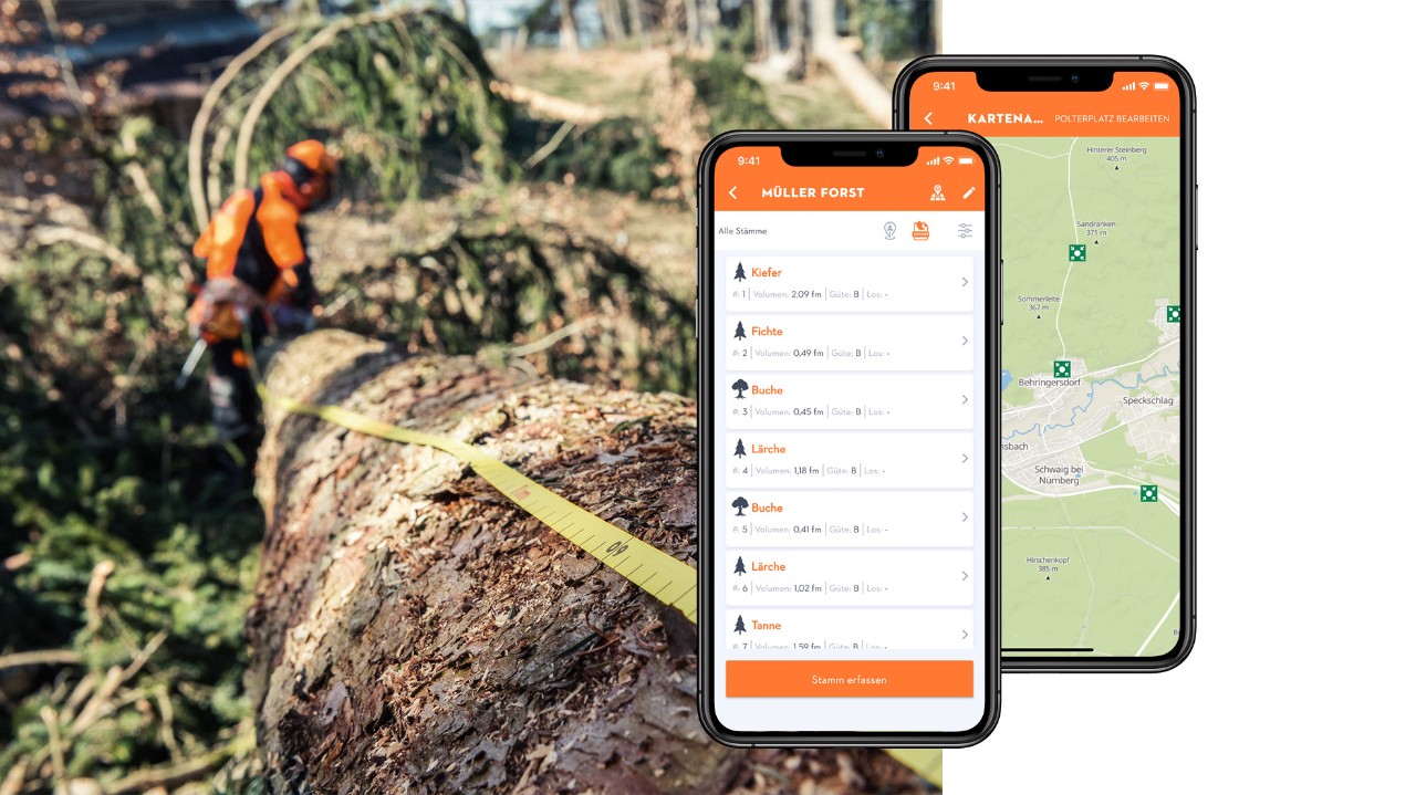 Collage mit einem Baum mit Maßband und Smartphone-Displays mit der App STIHL Holzliste