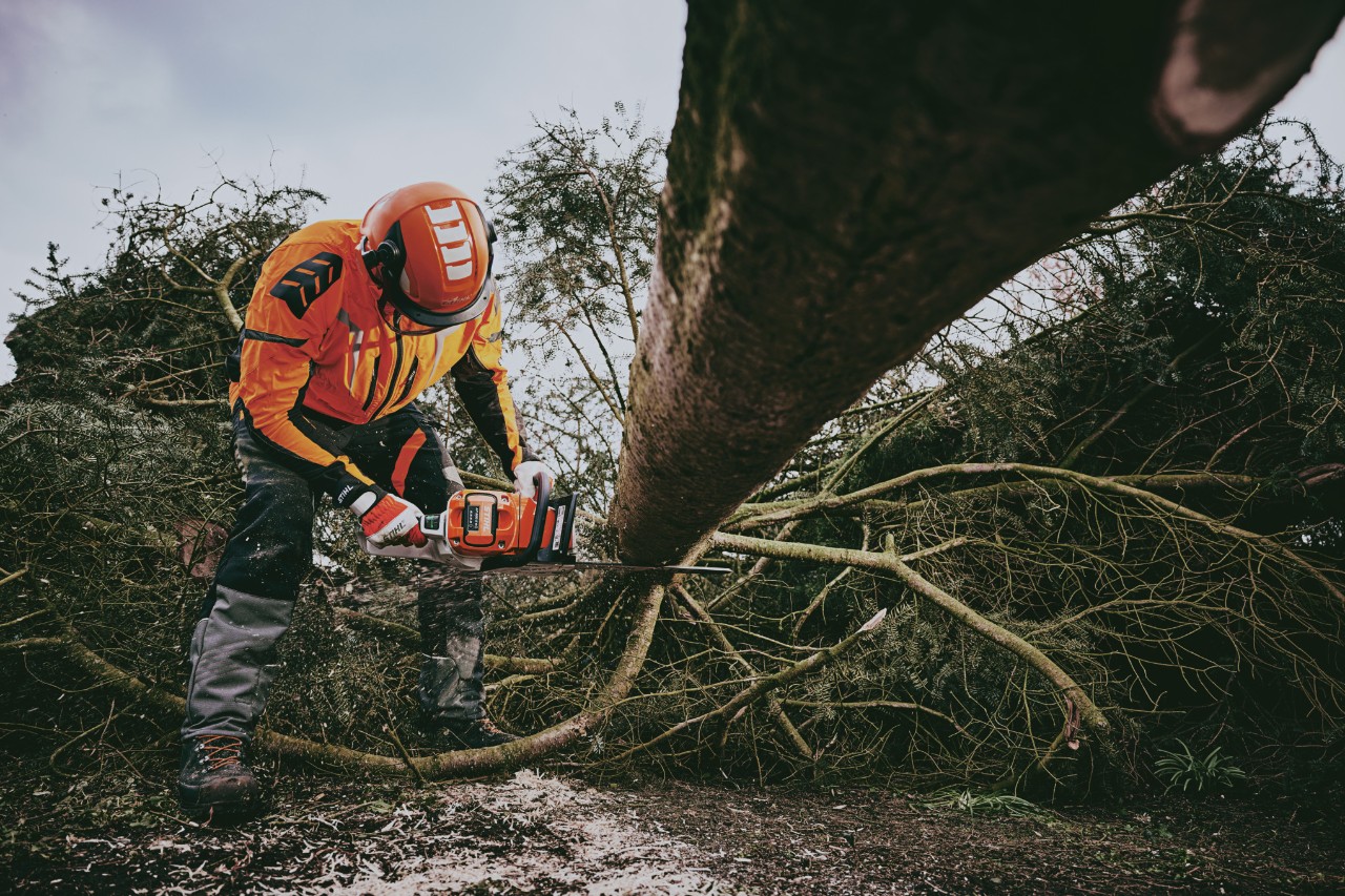 Forstarbeiter mit PSA Forst und Schnittschutzklasse 1 entastet Baumstamm mit der Akku-Motorsäge STIHL MSA 300