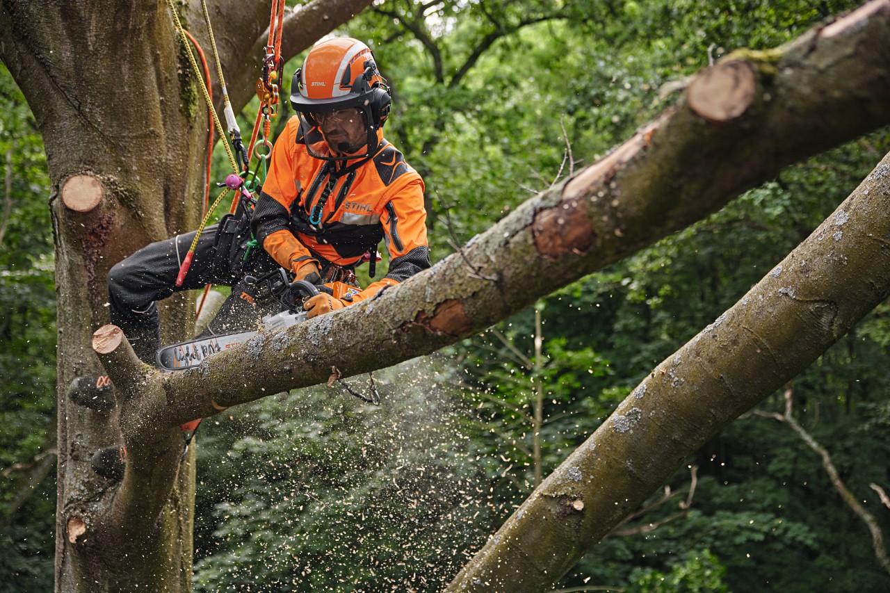 Baumpfleger bei der Arbeit mit der Akku-Motorsäge STIHL MSA 220 TC-O in der Baumkrone, ausgestattet mit persönlicher Schutzausrüstung Forst
