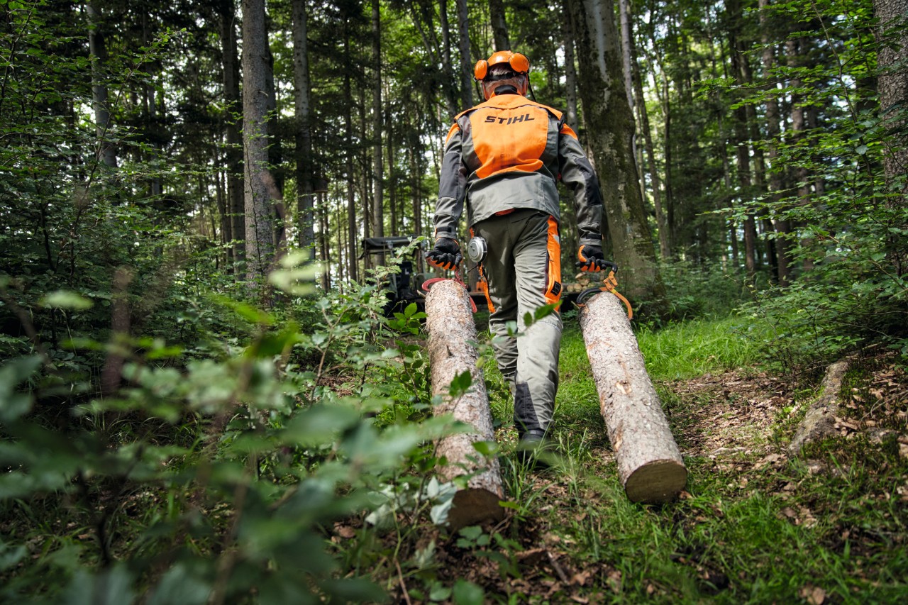 Forstarbeiter mit STIHL Schutzausrüstung beim Holztransport auf einem Forstweg
