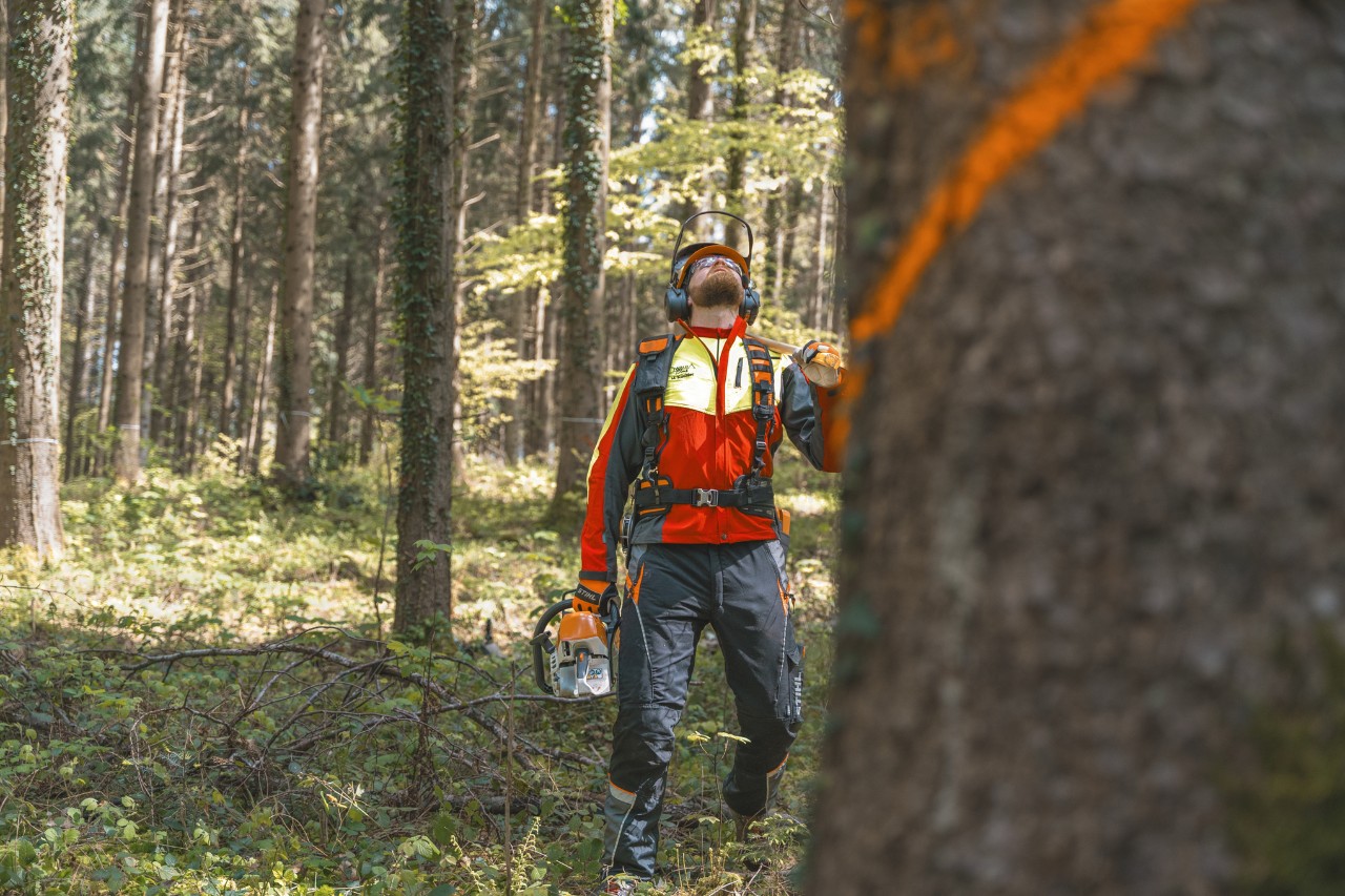 Forstwirtschaftsmeister Markus Küchler steht mit einem STIHL Gerät in der Hand vor einem mit Farbe markierten Baum 