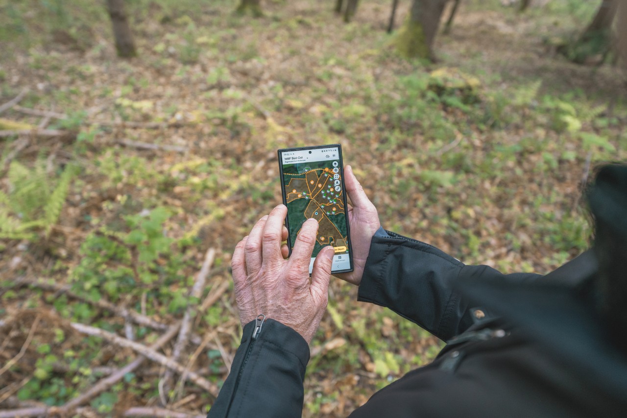 Nahaufnahme, wie ein Mann ein Handy mit einer Karte eines Waldgebiets mit markierten Punkten in der Hand hält