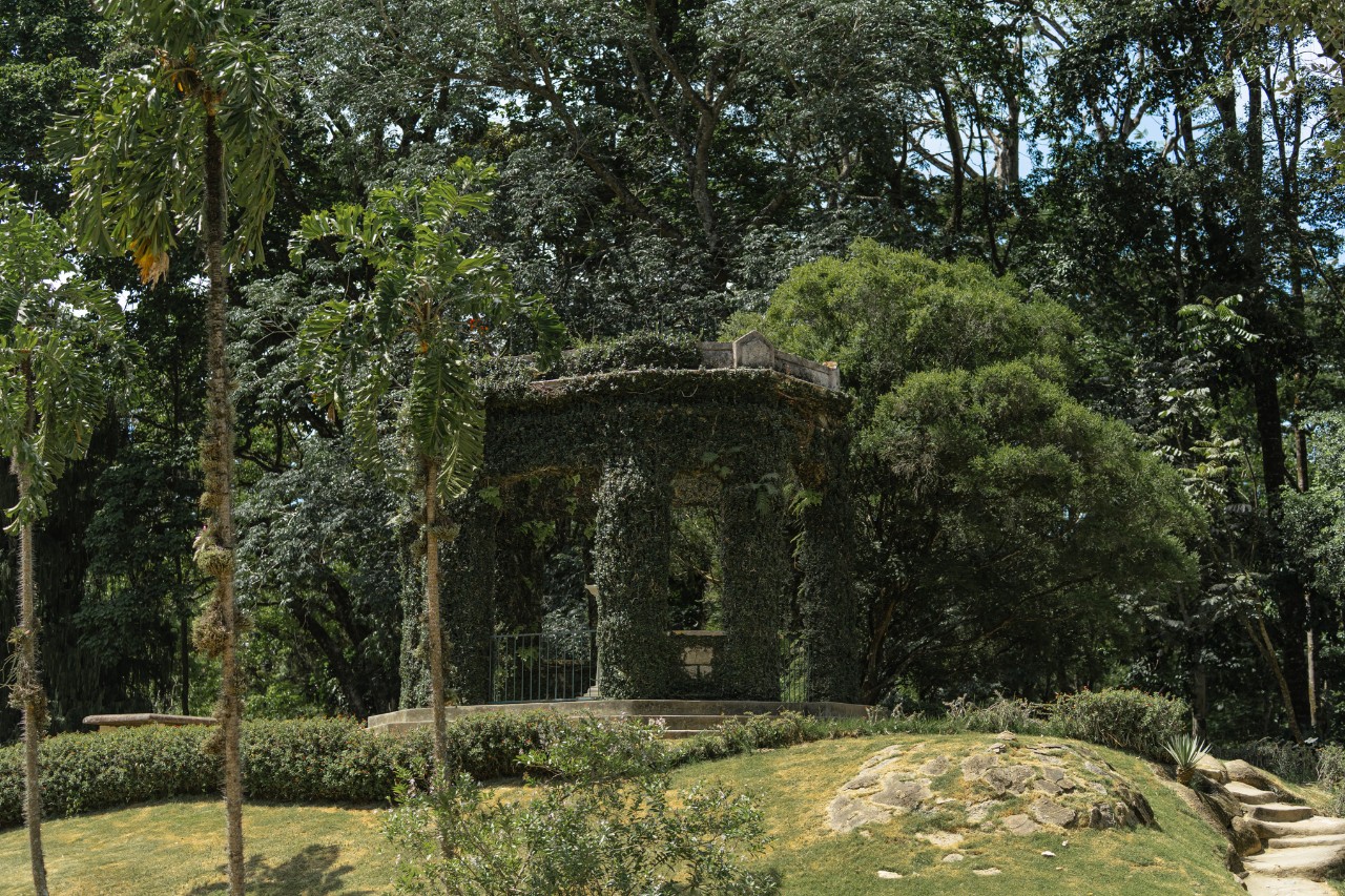 Bäume im Botanischen Garten Rio de Janeiro