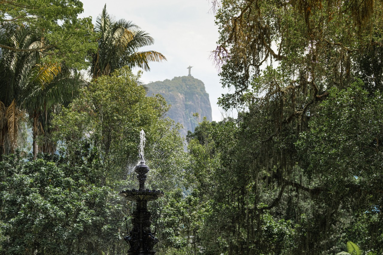 Der Botanische Garten in Rio de Janeiro mit der berühmten Statue Cristo Redentor im Hintergrund