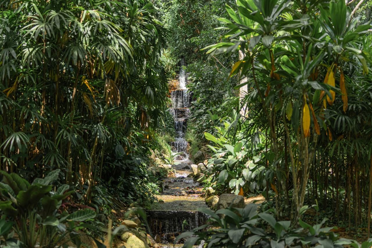 Nahaufnahme eines Wasserfalls im Botanischen Garten Rio de Janeiro