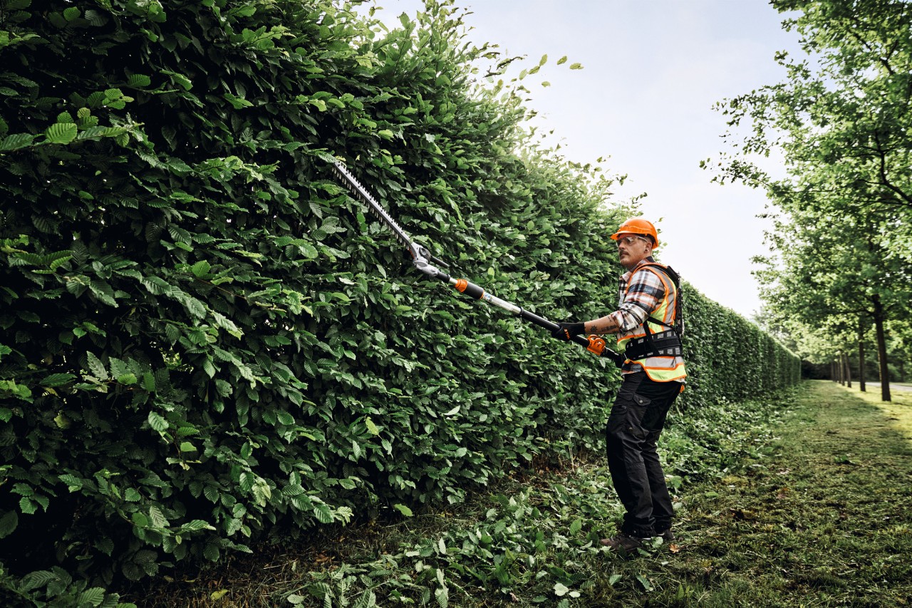 Mann schneidet Hecke mit STIHL Heckenschere.