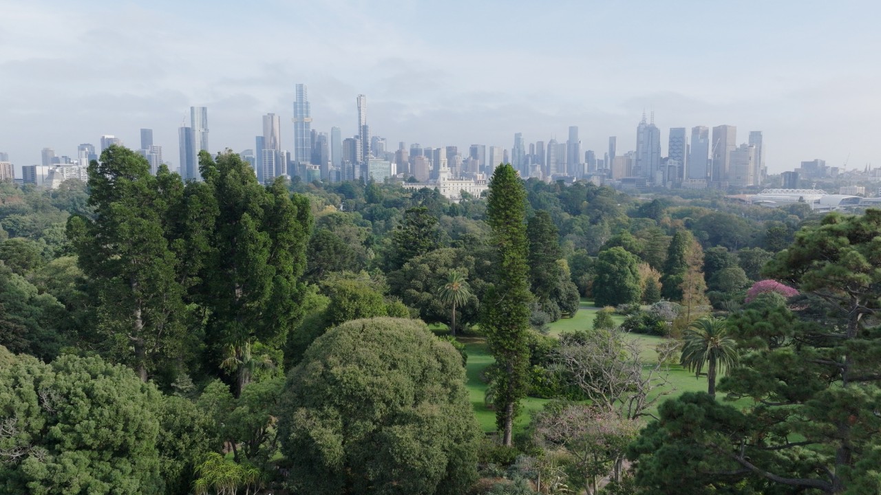 Die Royal Botanic Gardens Victoria mit unterschiedlichen Bäumen im Vordergrund vor der Skyline von Melbourne