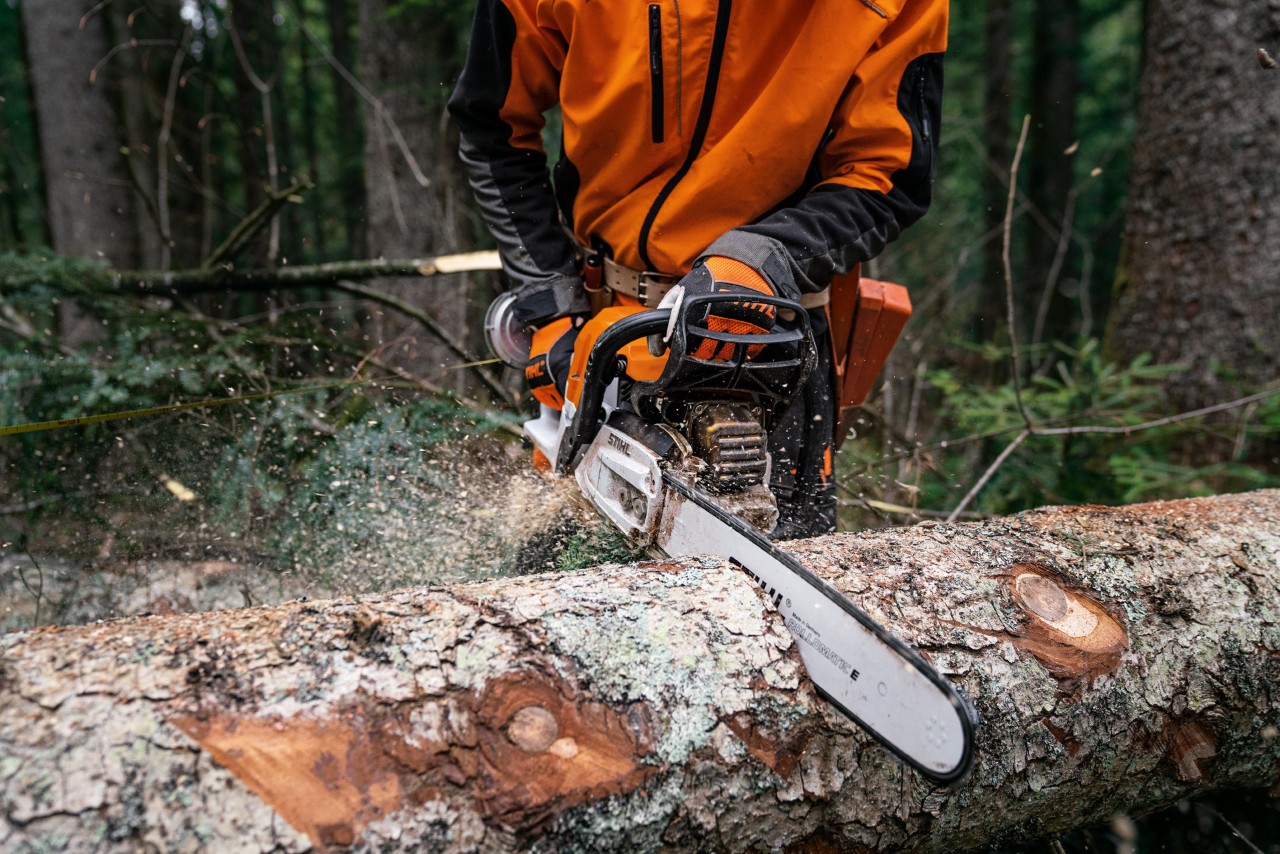 Mit einer STIHL Benzin-Kettensäge MS 400 C-M mit Magnesiumkolben wird gefällter Baumstamm am Boden gesägt