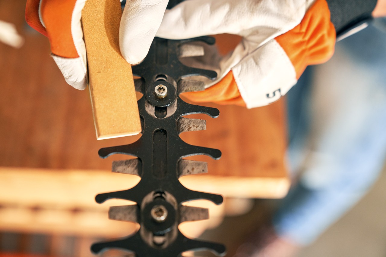 Grate wird mit einem Abziehstein aus der STIHL Akku-Heckenschere HSA 56 entfernt