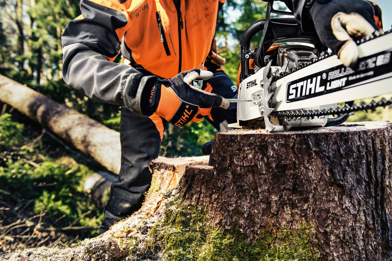 STIHL Benzin-Kettensäge MS 461 auf einem Baumstumpf, dahinter Person in Schutzkleidung
