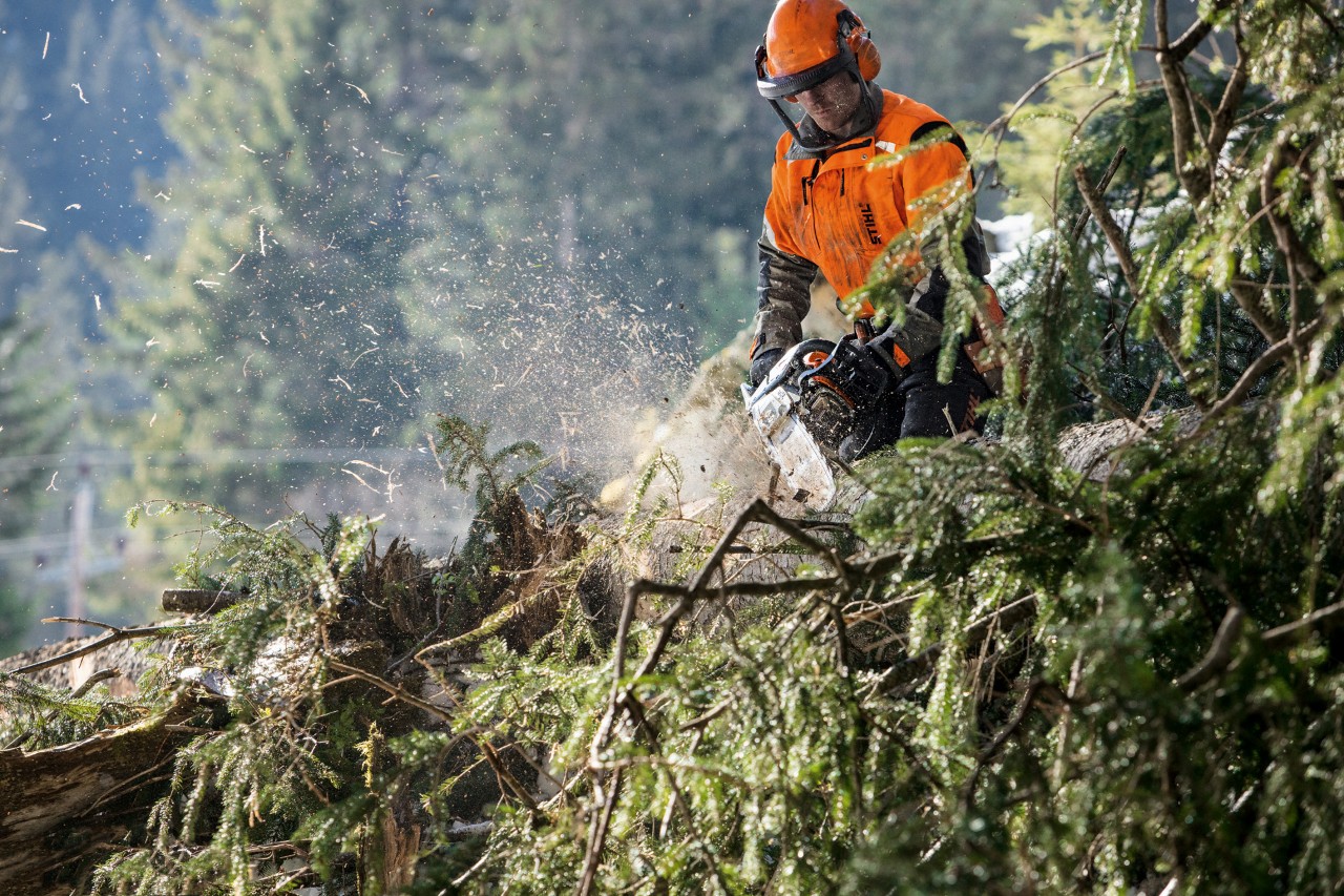 Mann in Schutzausrüstung sägt mit STIHL Benzin-Kettensäge MS 462 C-M Äste von einem Nadelbaum