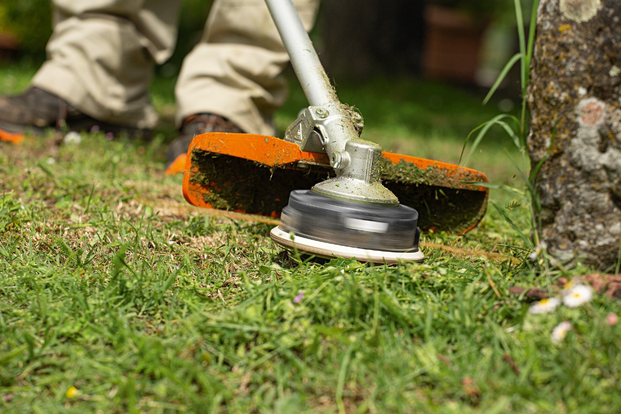 Person mäht mit STIHL Motorsense FS 240 um einen Baum herum