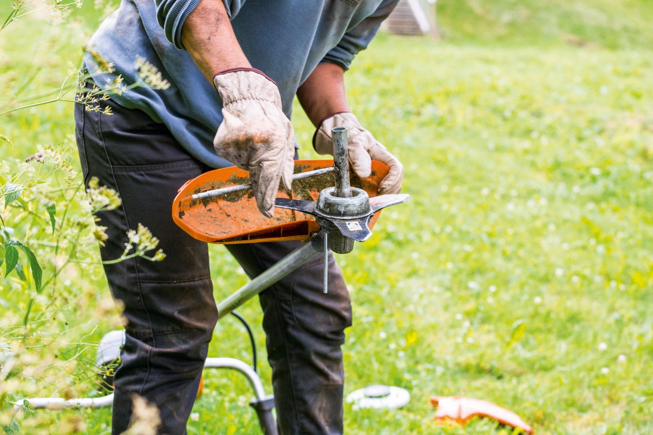 Bei der Wartung der Motorsense STIHL FS 131 wird der Mähkopf gereinigt