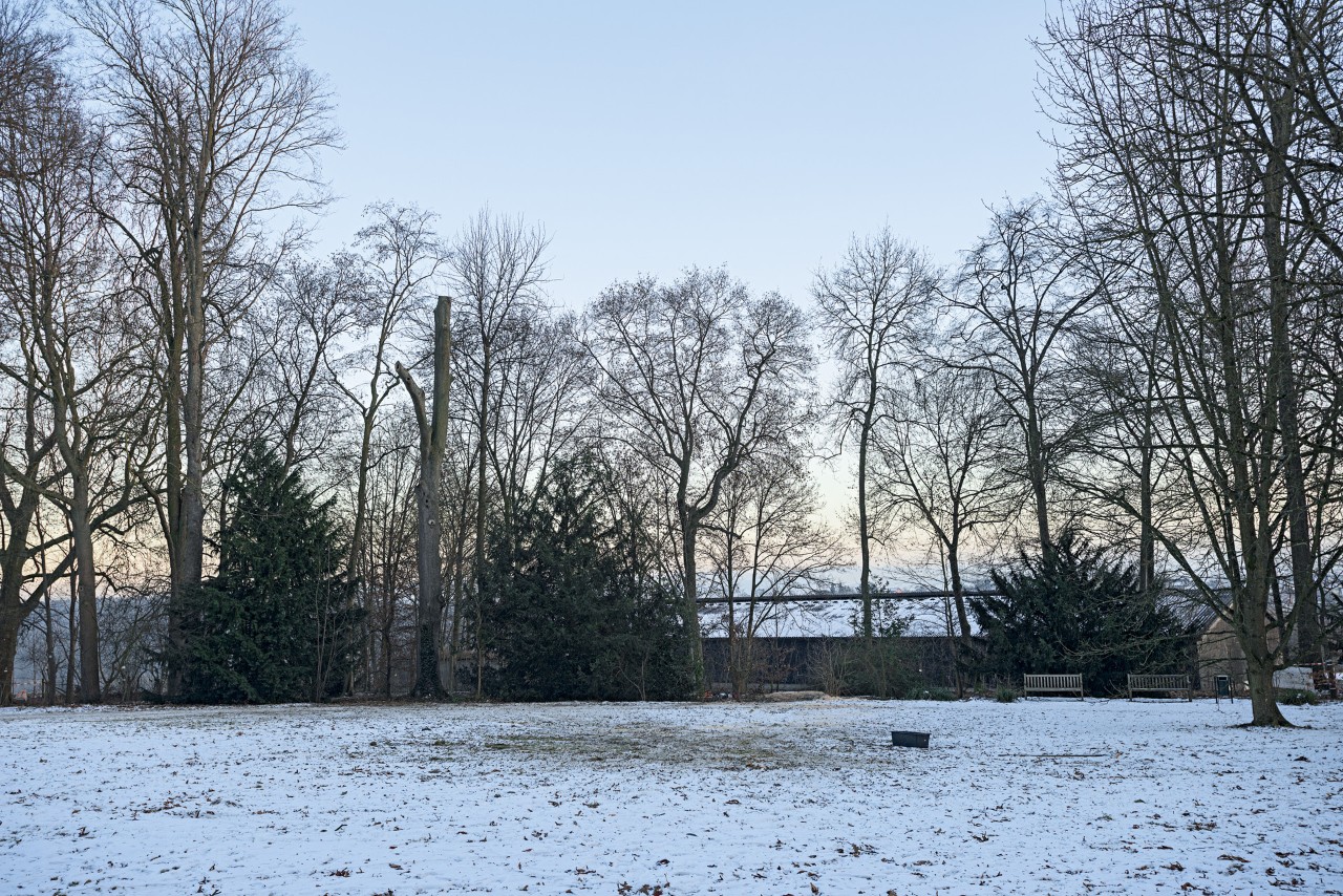Park im Winter mit schneebdecktem Boden und kahlen Bäumen