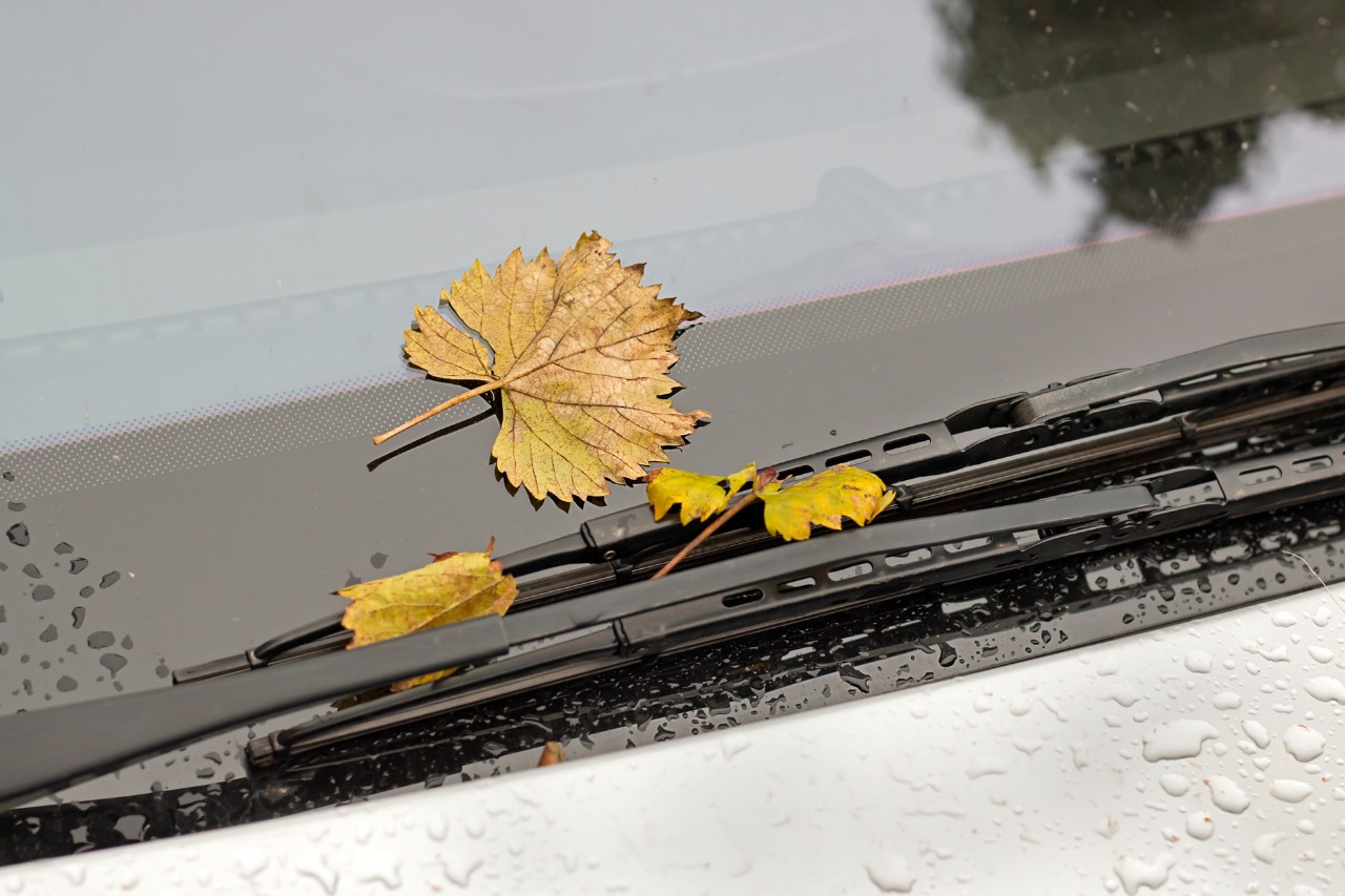 Auto waschen