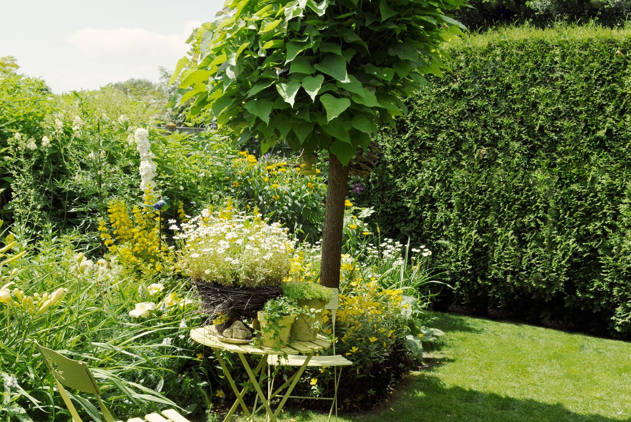 Kleiner Laubbaum in einem Garten, umgeben von Blumentöpfen