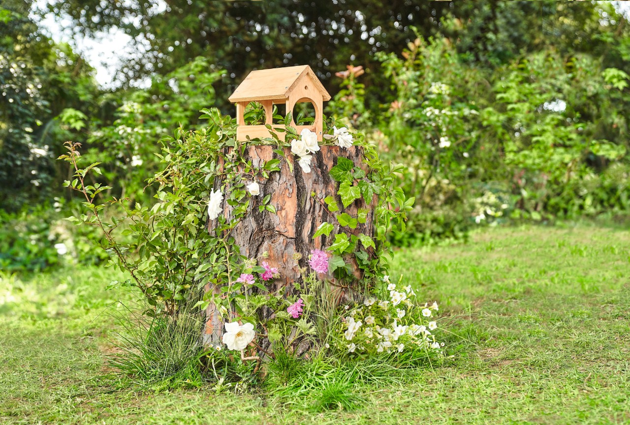 Eine Blumenschale auf einem stehengelassenen Baumstumpf