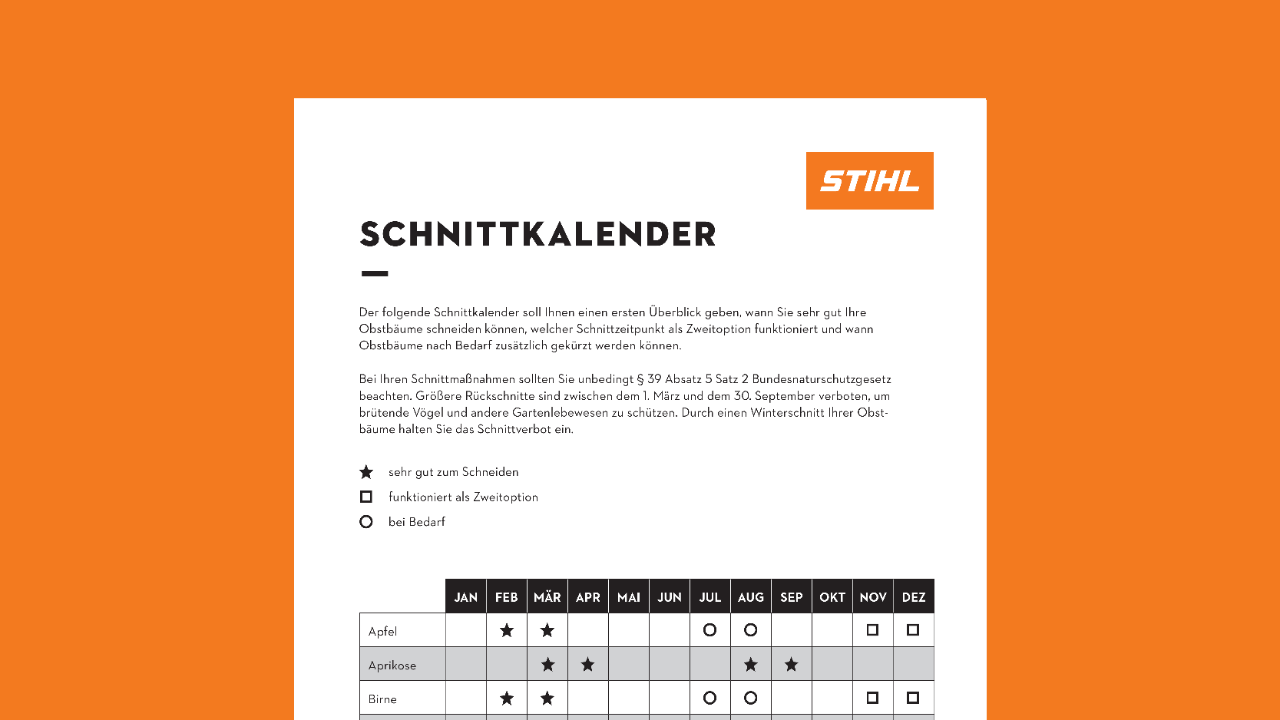 Schnittkalender: Wann Obstbäume schneiden?