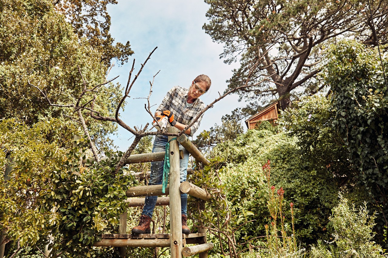 Eine Frau im Garten auf einem Holzgestell, die mit einem Akku-Gehölzschneider STIHL GTA 26 einen Ast abschneidet