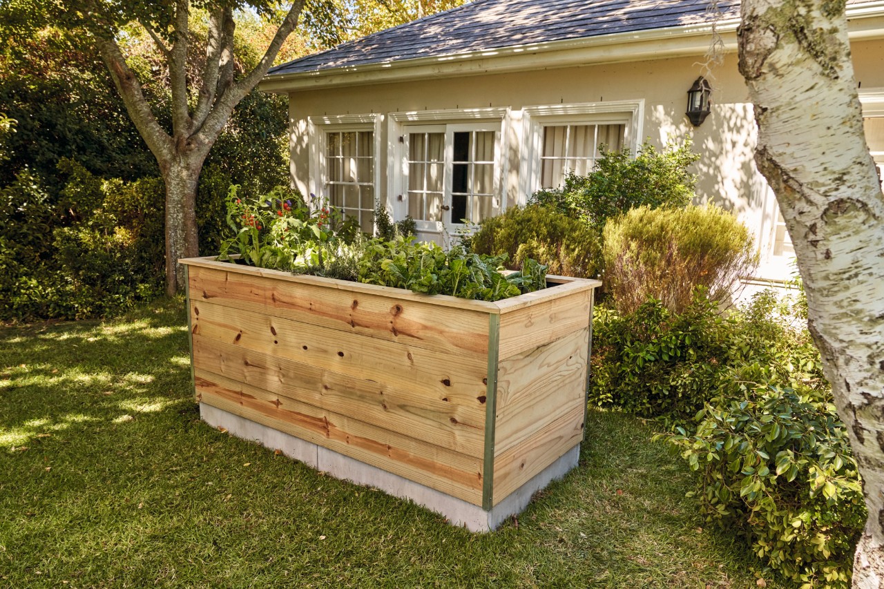 Bepflanztes Hochbeet aus Holzbrettern zum Selberbauen steht im Garten vor einem Haus