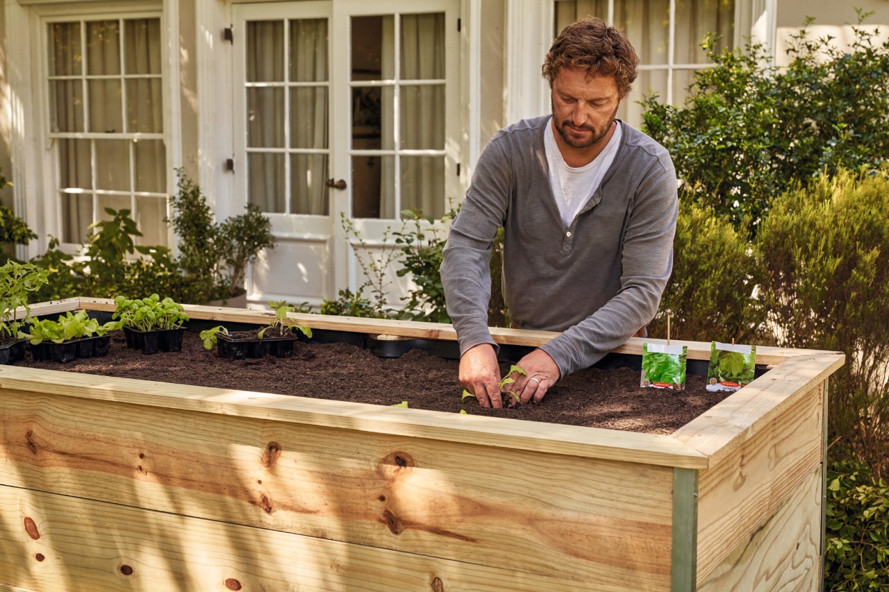 Ein Mann setzt Pflanzen in ein selber gebautes Hochbeet auf einem Gartengrundstück 