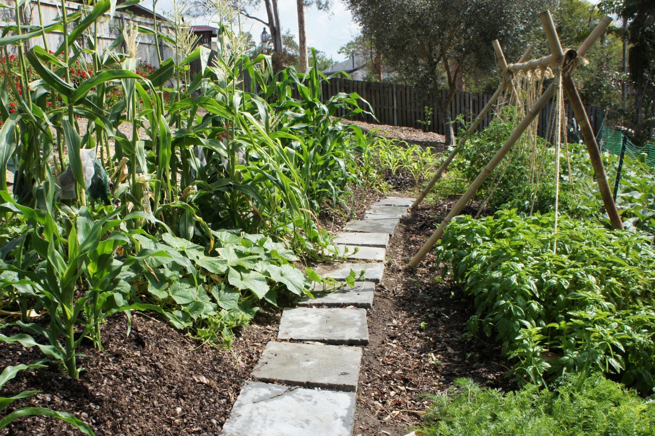 Beetweg mit Steinplatten in einem Gartenbeet