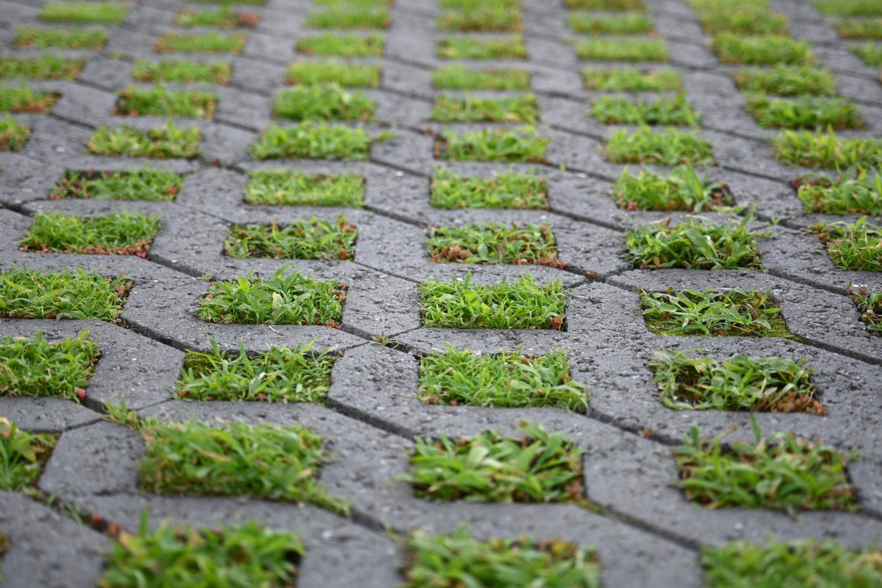 Zwischen Rasengittersteinen wächst Gras hervor 