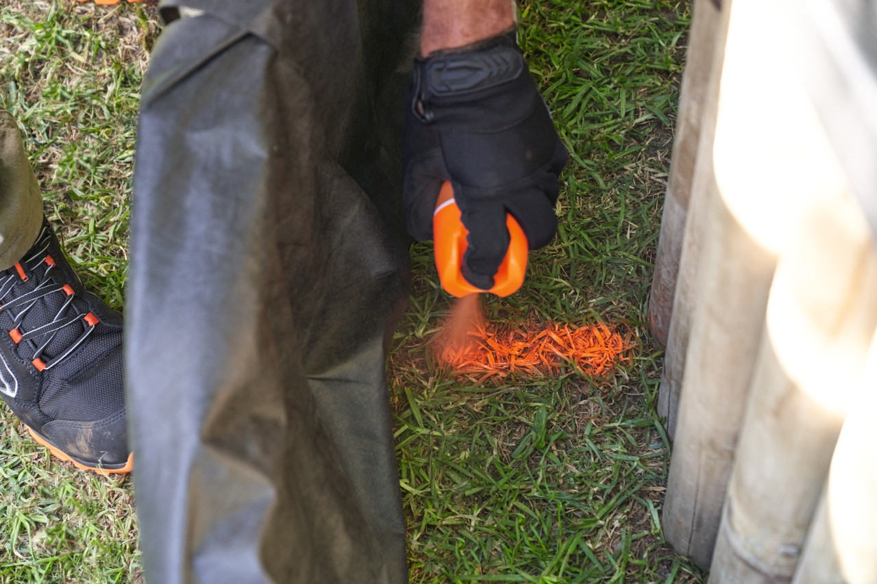 Eine Person markiert die vorgesehenen Pflanzzonen mithilfe eines Forstsprays