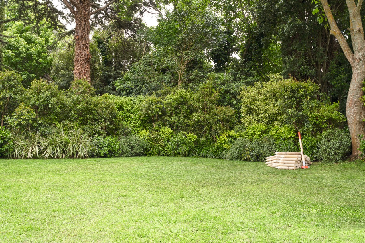 Gartengrundstück mit Rasen und Holzpflöcken im Hintergrund