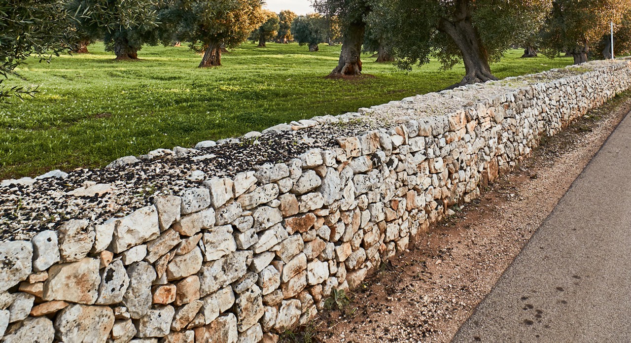 Eine bienenfreundliche Trockenmauer trennt eine Straße von einer großen Grünfläche mit vielen Bäumen