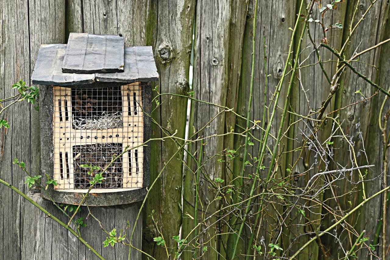 In einem bienenfreundlichen Garten steht selbstgebautes Insektenhotel auf Baumstumpf vor Holzzaun