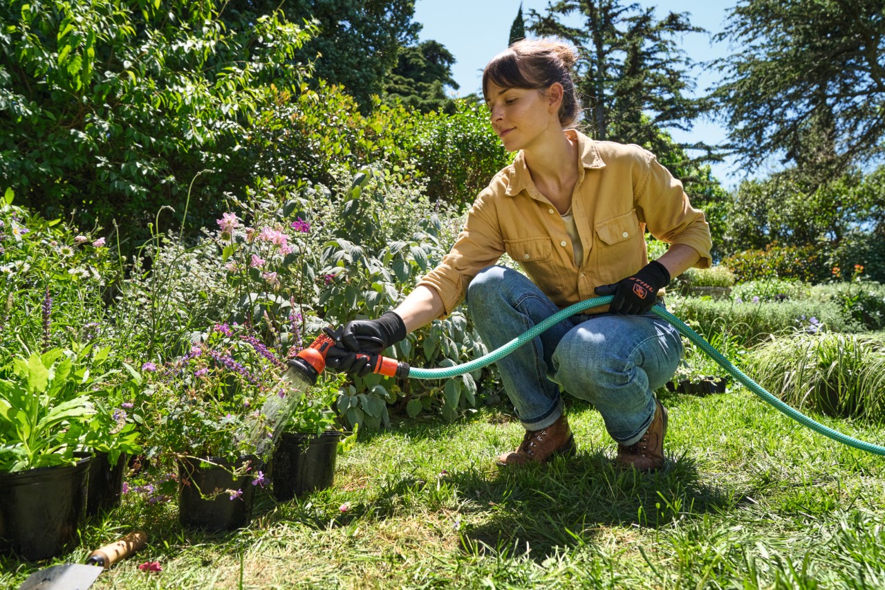 Eine Frau auf einer Rasenfläche wässert Topfpflanzen mit einem Gartenschlauch