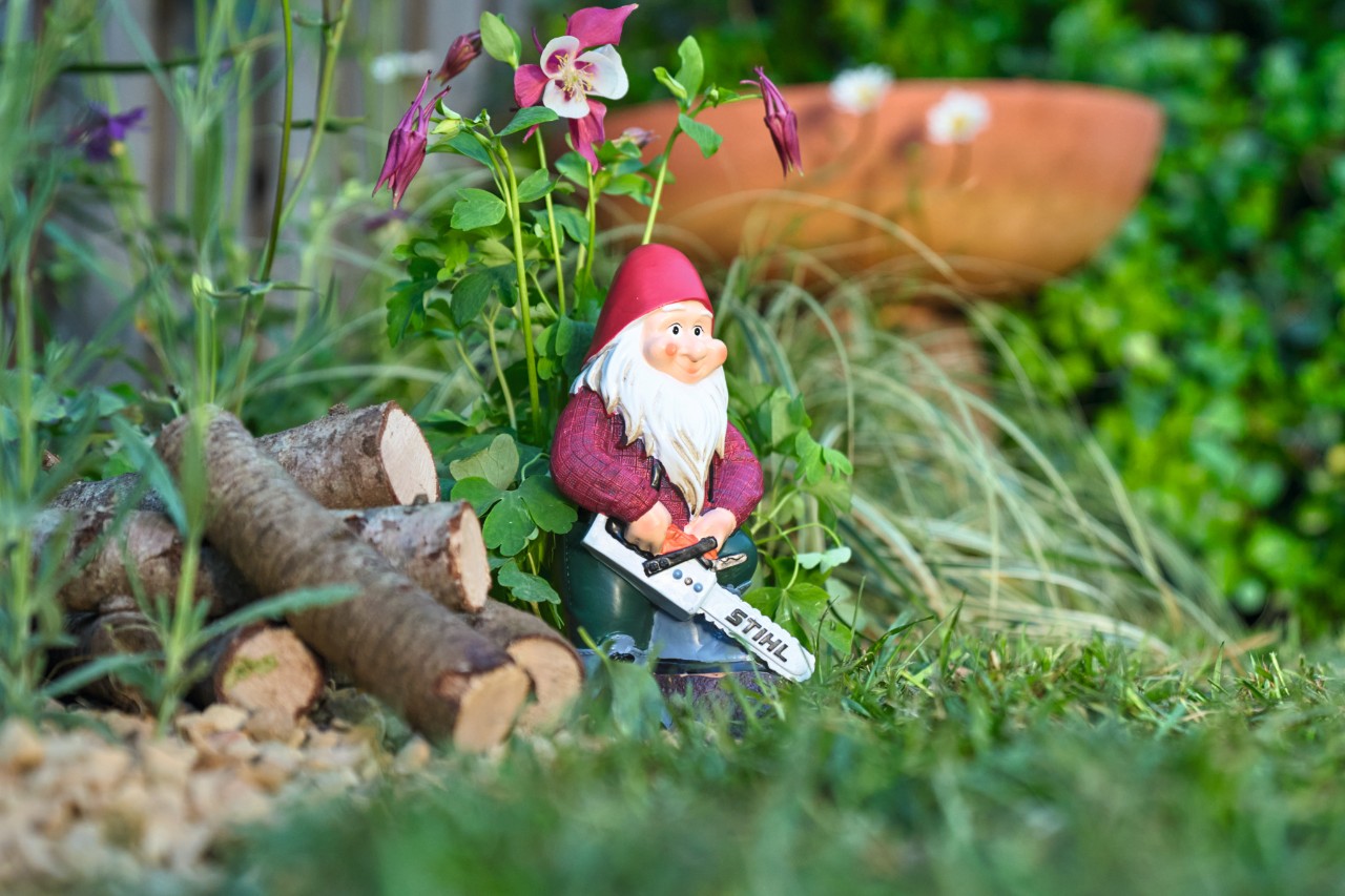 Ein Gartenzwerg steht mit einer miniaturhaften STIHL Kettensäge im Blühstreifen