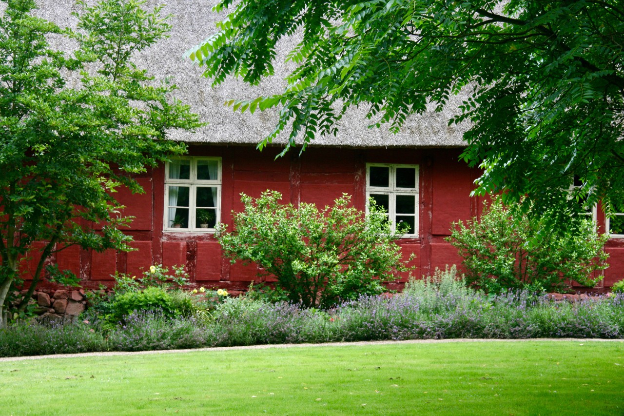 Strohdachhaus mit einer wandgebundenen Fassadenbegrünung