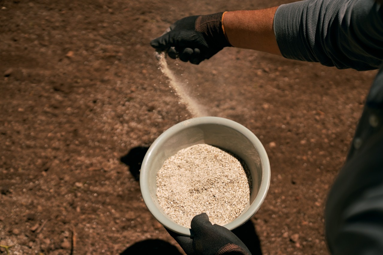 Person mit Handschuhen bringt organischen Dünger auf die Erde aus, um Garten zu düngen