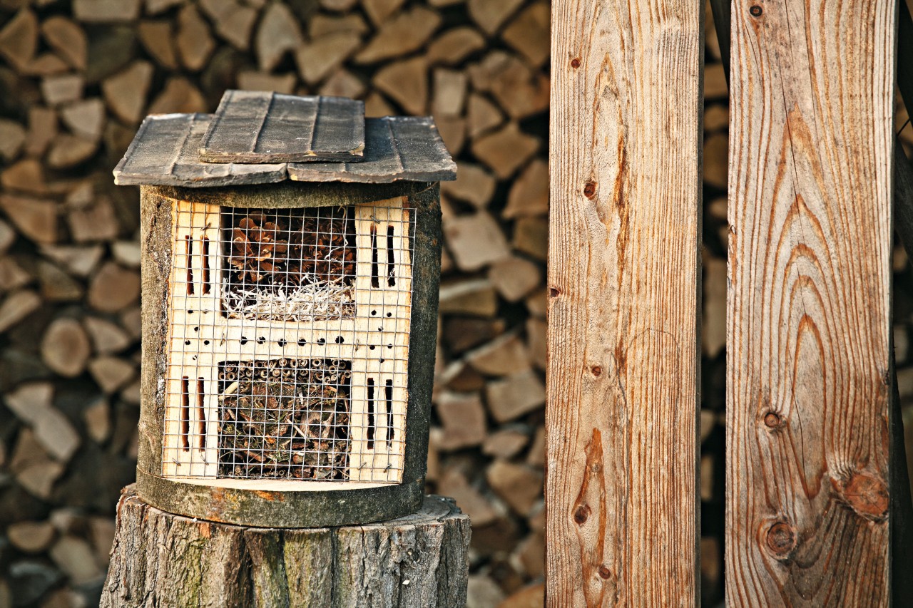 Ein Insektenhotel steht auf einem Baumstamm vor einem Brennholzstapel