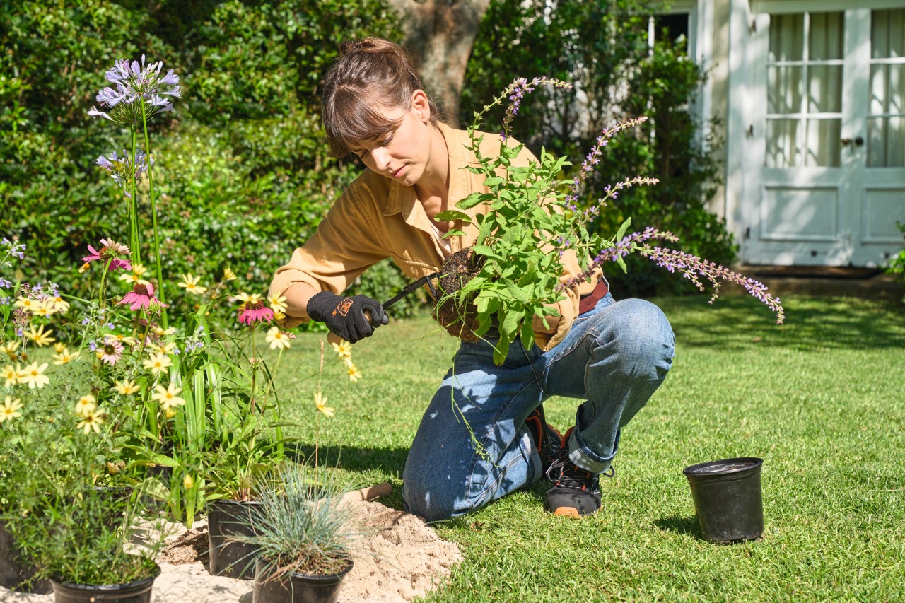 Eine Frau pflanzt Blumen und Stauden in ein Beet