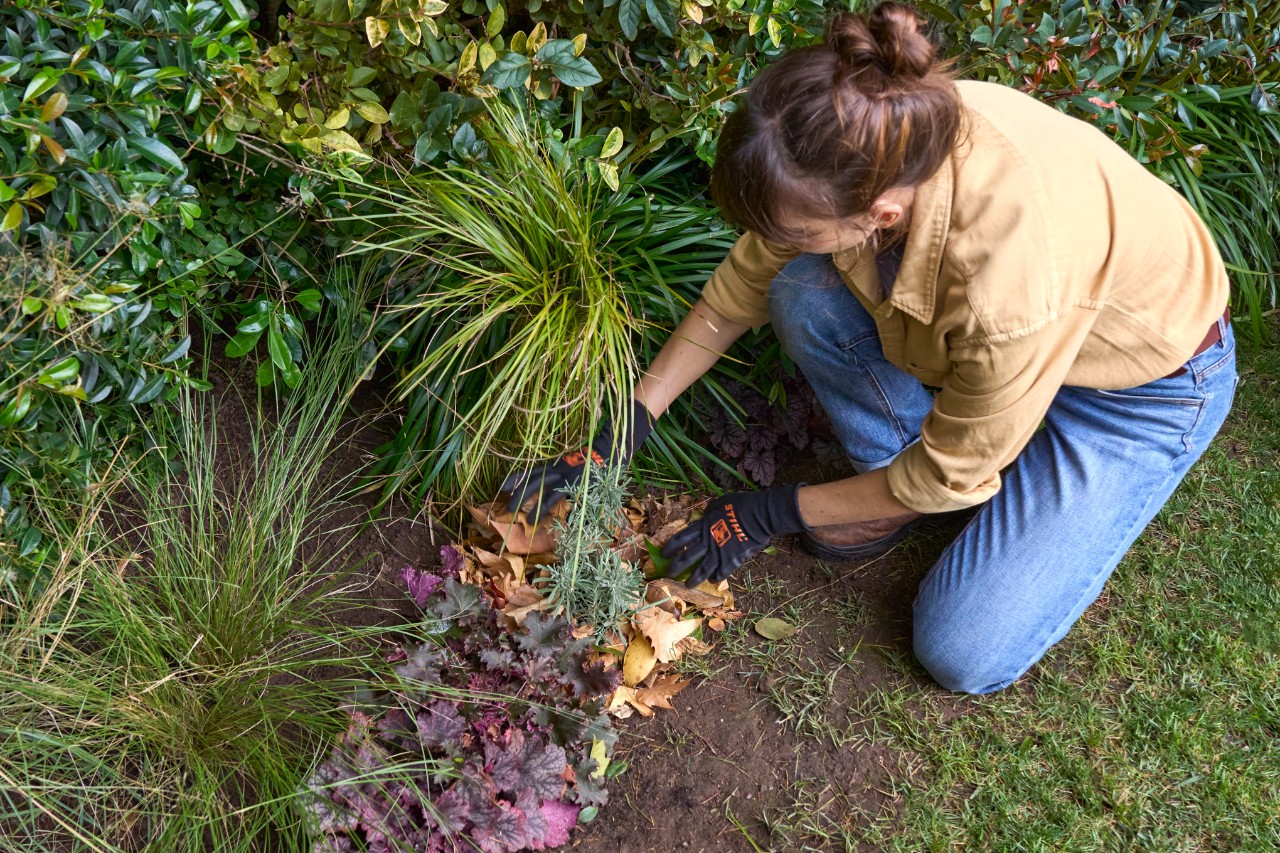 Eine Frau deckt Pflanzen mit Laub für den Winter ab, um den Garten winterfest zu machen