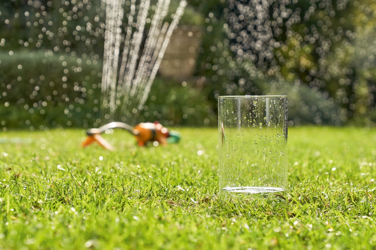 In einem Glas wird Wasser gesammelt, das aus einem Rasensprenger im Hintergrund kommt
