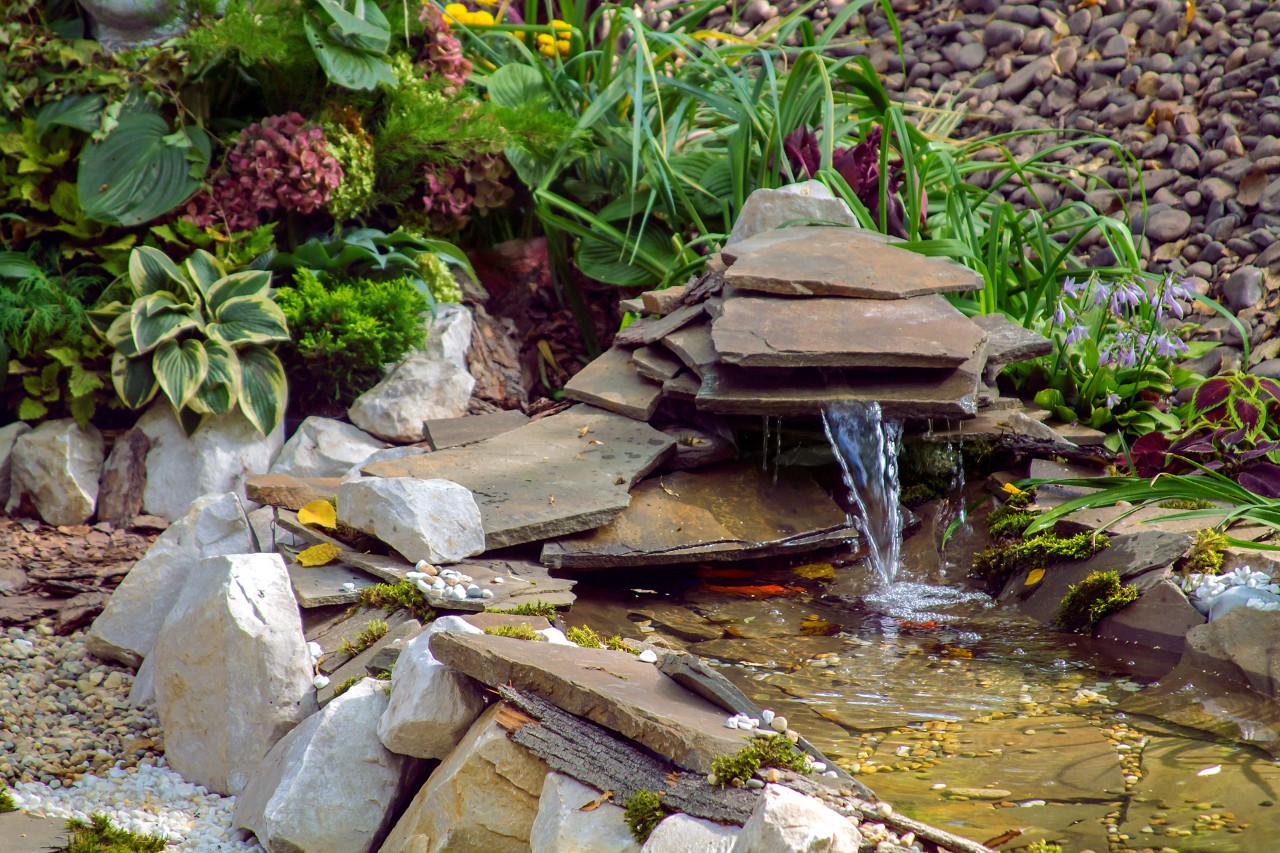 Wasserstelle aus Steinplatten im tierfreundlichen kleinen Garten, umgeben von Bodendeckern und Gräsern, Hang im Hintergrund.