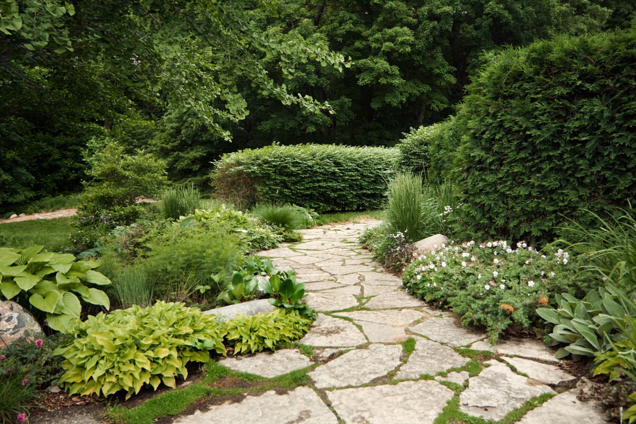 Geschwungener Steinweg, eingefasst von Bodendeckern, Sträuchern und Hecken, im Hintergrund Rasenfläche und Bäume.