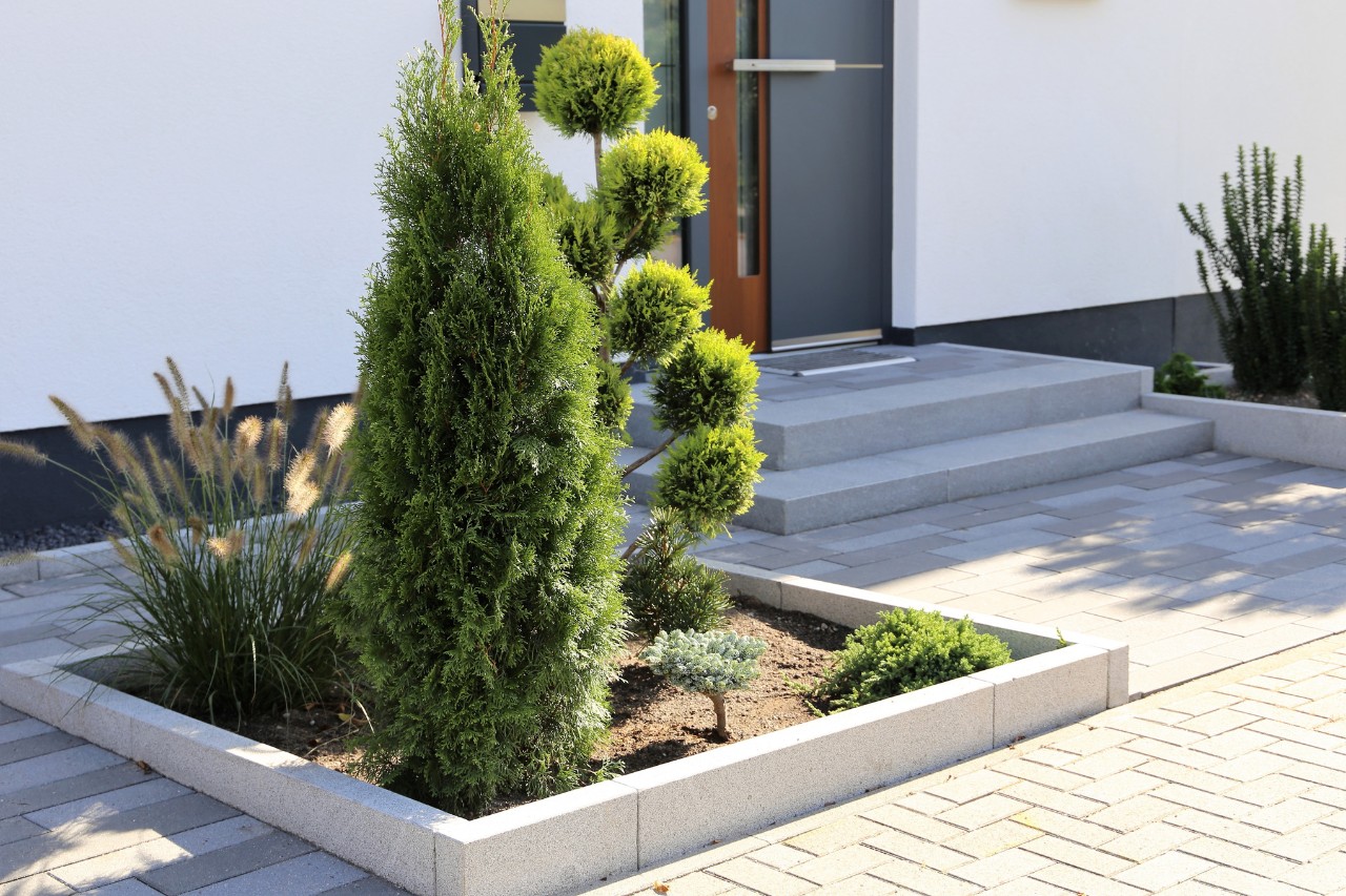 Von Betonplatten eingegrenztes, attraktiv gestaltetes  Vorgartenbeet 